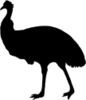 Black And White Silhouetted Emu