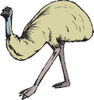 Wandering Beige Emu