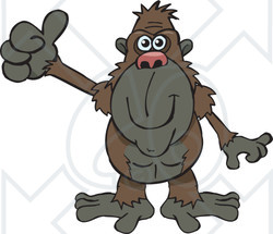 Clipart of a Happy Ape Giving a Thumb up - Royalty Free Vector Illustration