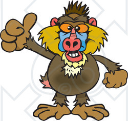 Clipart of a Happy Baboon Giving a Thumb up - Royalty Free Vector Illustration