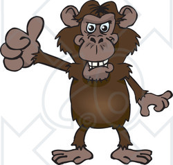 Clipart of a Chimpanzee Giving a Thumb up - Royalty Free Vector Illustration