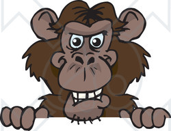 Clipart of a Happy Chimpanzee Monkey Peeking over a Sign - Royalty Free Vector Illustration