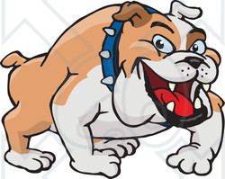 Royalty-Free (RF) Clipart Illustration of a Tan And White Bulldog Wearing A Spiked Collar
