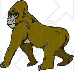 Clipart Illustration of an Alpha Gorilla Walking And Glancing Over His Shoulder