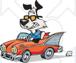 Royalty-Free (RF) Clipart Illustration of a Black And White Dog Driving A Classic Convertible Car